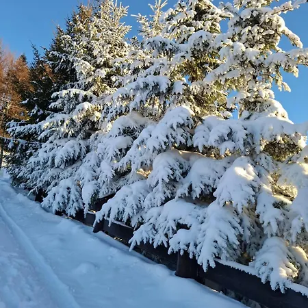 Holiday home Na Szlaku Baraniej Gory *